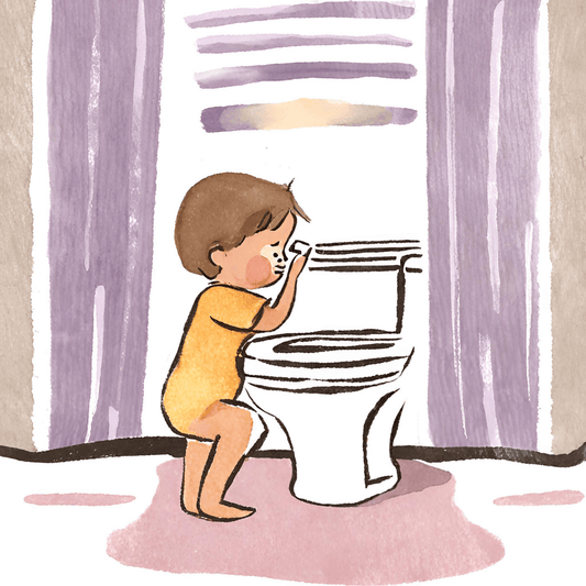 Selecting the Right Potty for Your Toddler: Potty Chair vs. Potty Seat