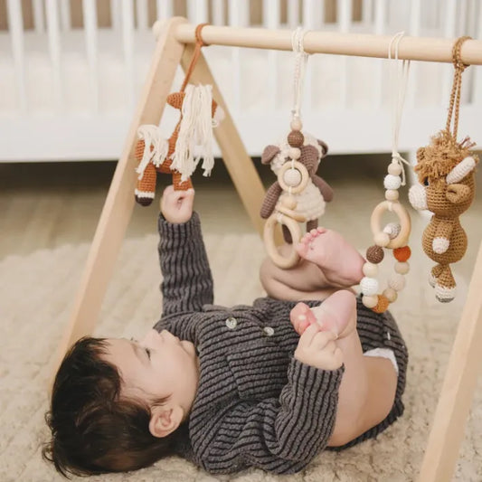 The Complete Guide to Baby Gym Accessories: Which Hanging Elements Support Different Developmental Skills