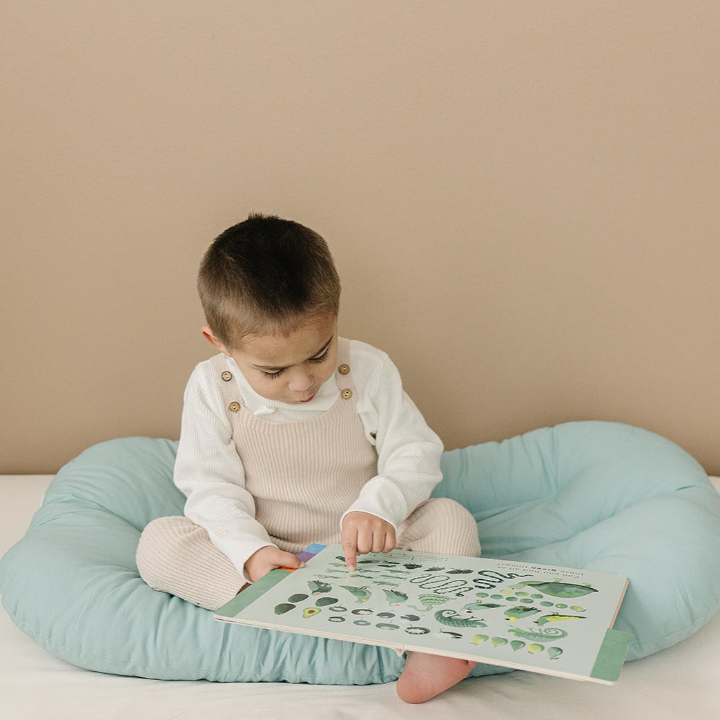 Infant & Toddler Loungers #color_eucalyptus