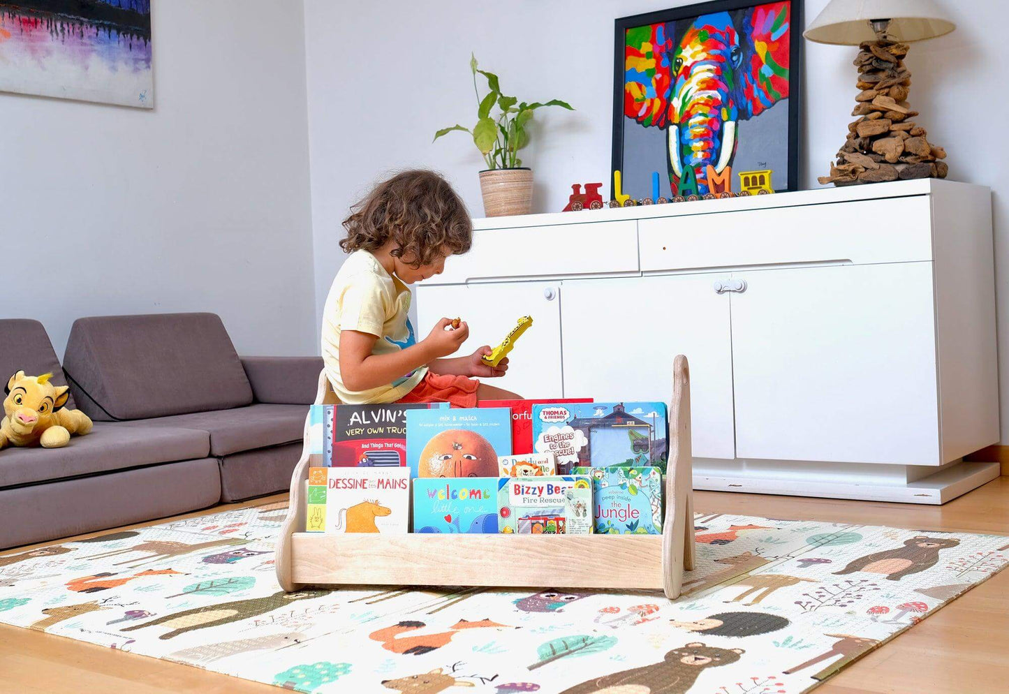 Montessori Wooden Bookshelf - Small Size